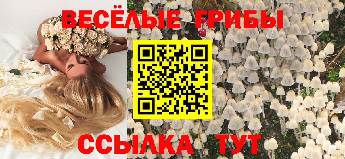 Крымск  Галлюциногенные грибы мицелий  Вход с VPN 